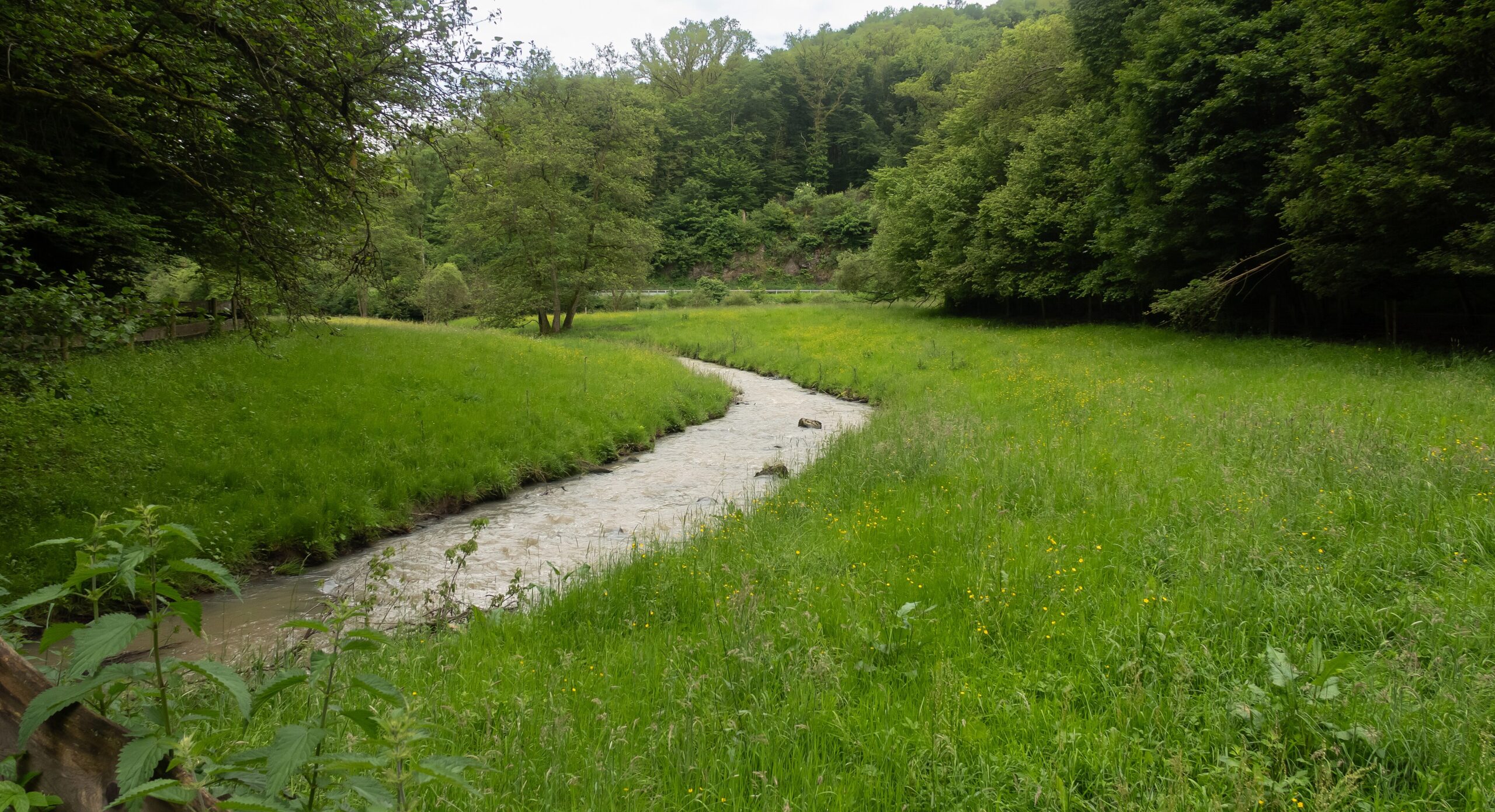 Urlaub im Gelbachtal – Der Gelbach schlängelt sich durch die Wiesenlandschaft zwischen Montabaur und Reckenthal